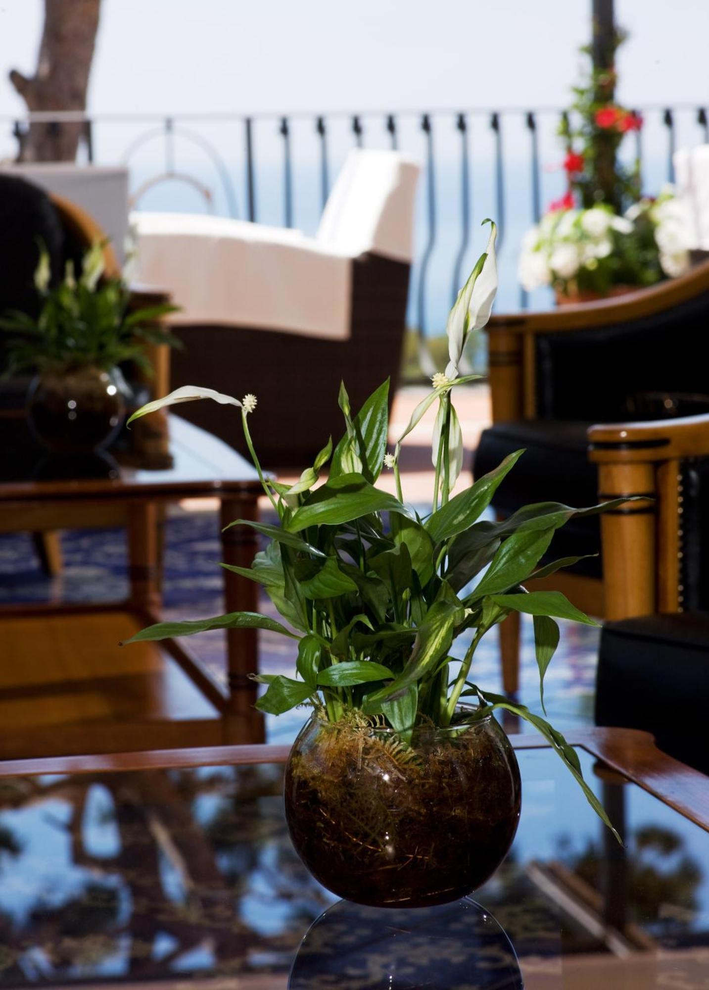 Casa Morgano Hotel Капри Екстериор снимка